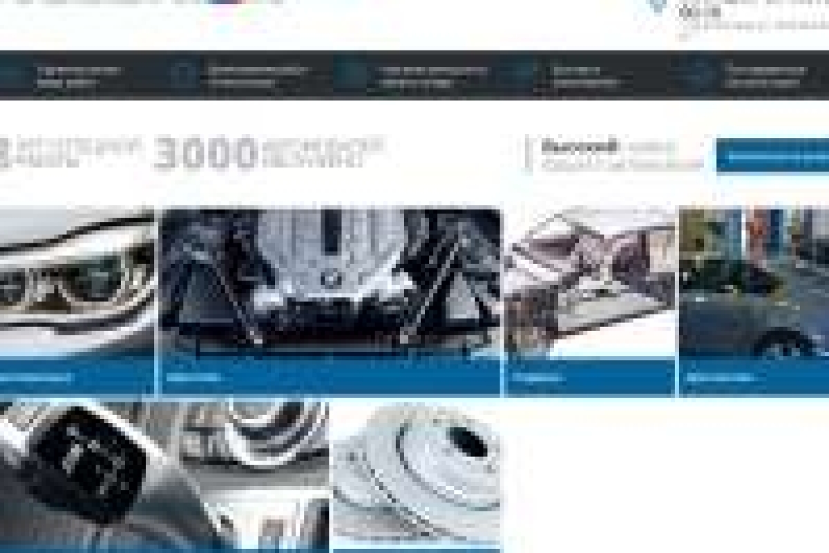 Freedom 39 специализированный BMW сервис все виды ремонта и обслуживания БМВ